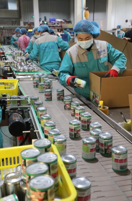 走在前 开新局丨帅克宠物,“链”出沂南宠物产品新未来