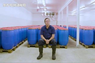 世界上最臭的食品工厂,臭味扩散300米,工人早已麻木无感