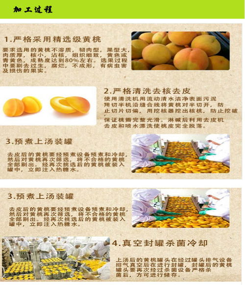 手工黄桃罐头厂家哪家好 君果食品 淮南手工黄桃罐头厂家